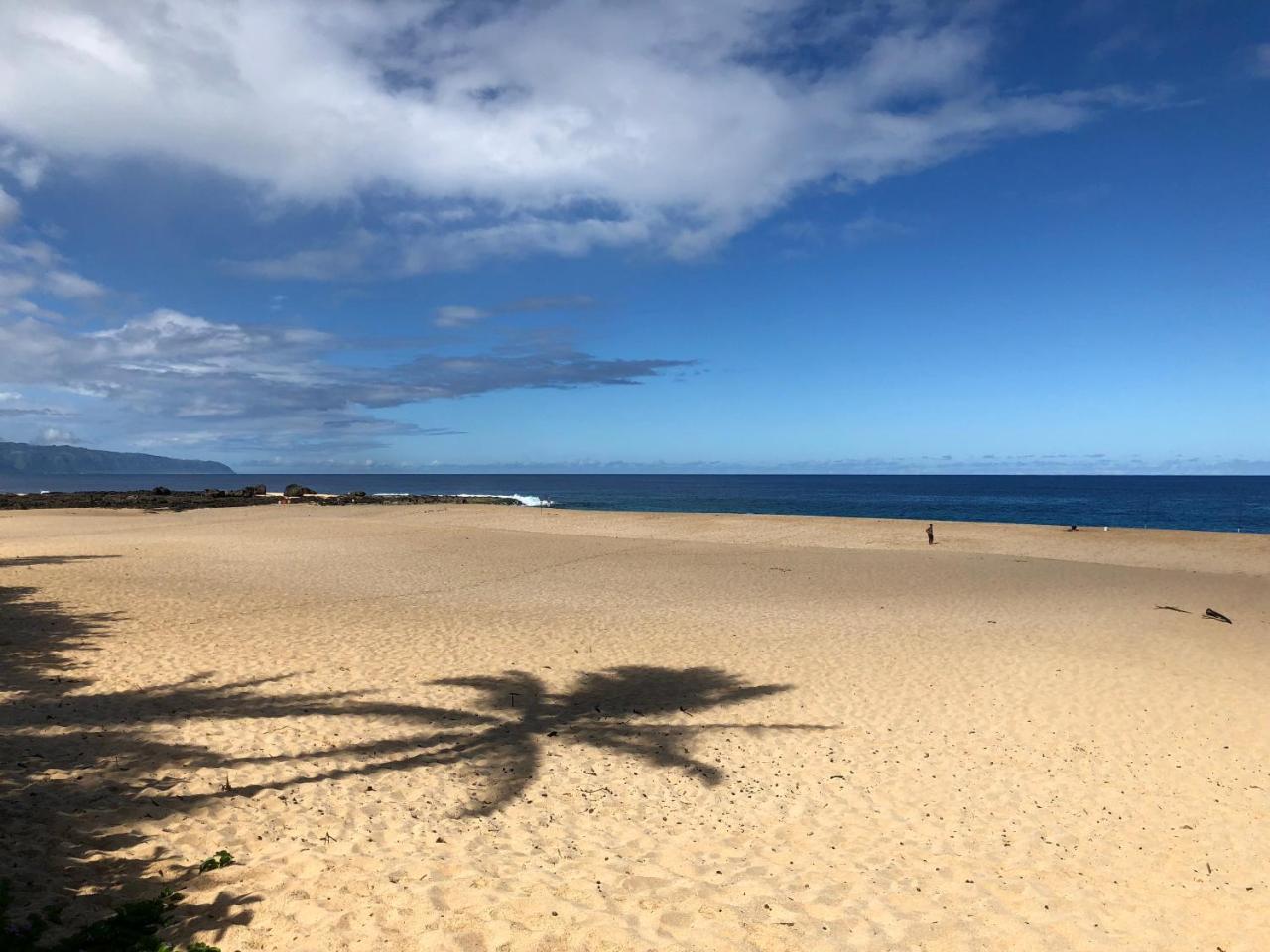 Beach Studio By Shark'S Cove Haleiwa Ngoại thất bức ảnh